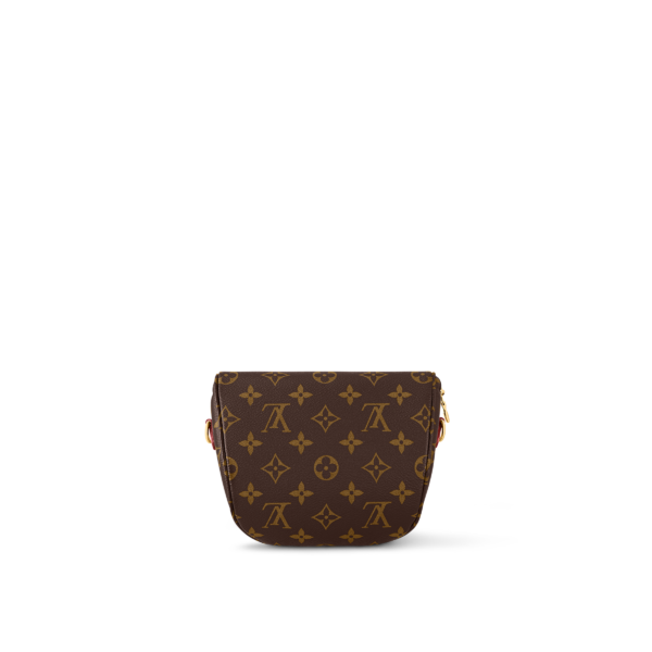 Louis Vuitton Mini Brown Bumbag - Image 3