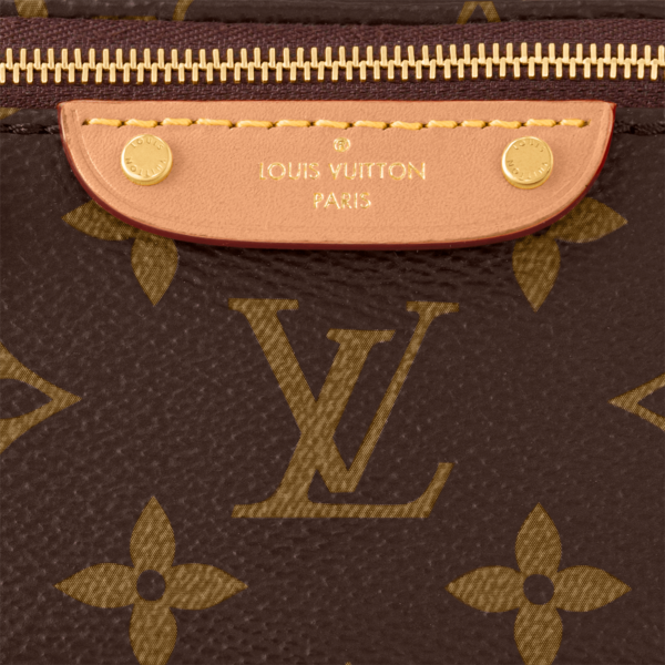 Louis Vuitton Mini Brown Bumbag - Image 4