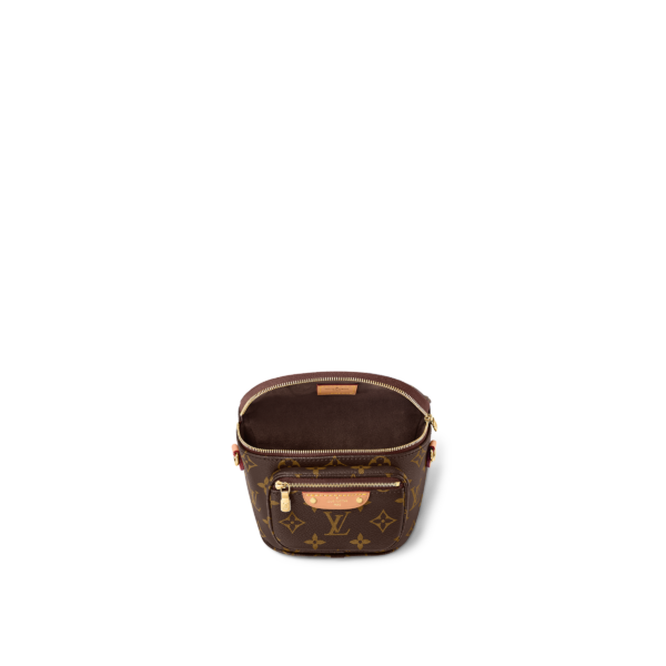 Louis Vuitton Mini Brown Bumbag - Image 5