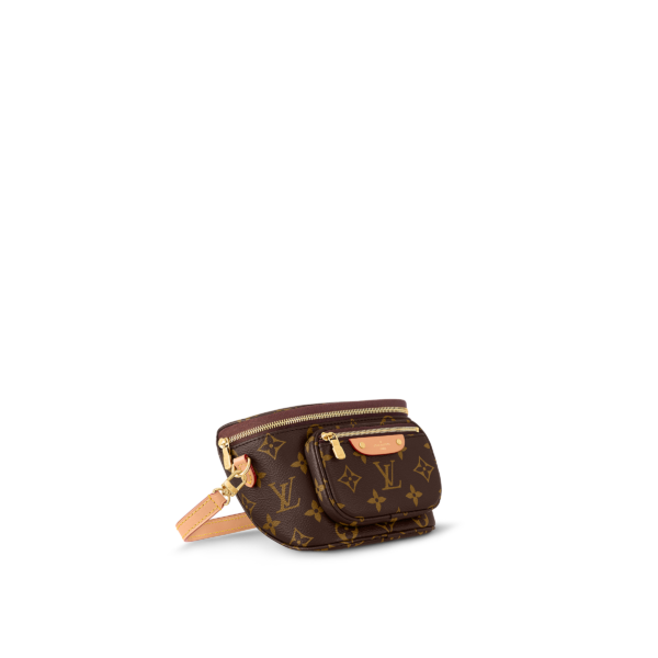 Louis Vuitton Mini Brown Bumbag - Image 6