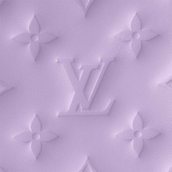 Louis Vuitton Parme Colour Pochette Coussin - Image 3